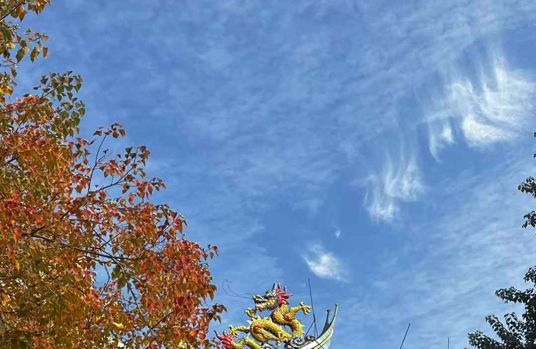 缺爱的 17 种表现