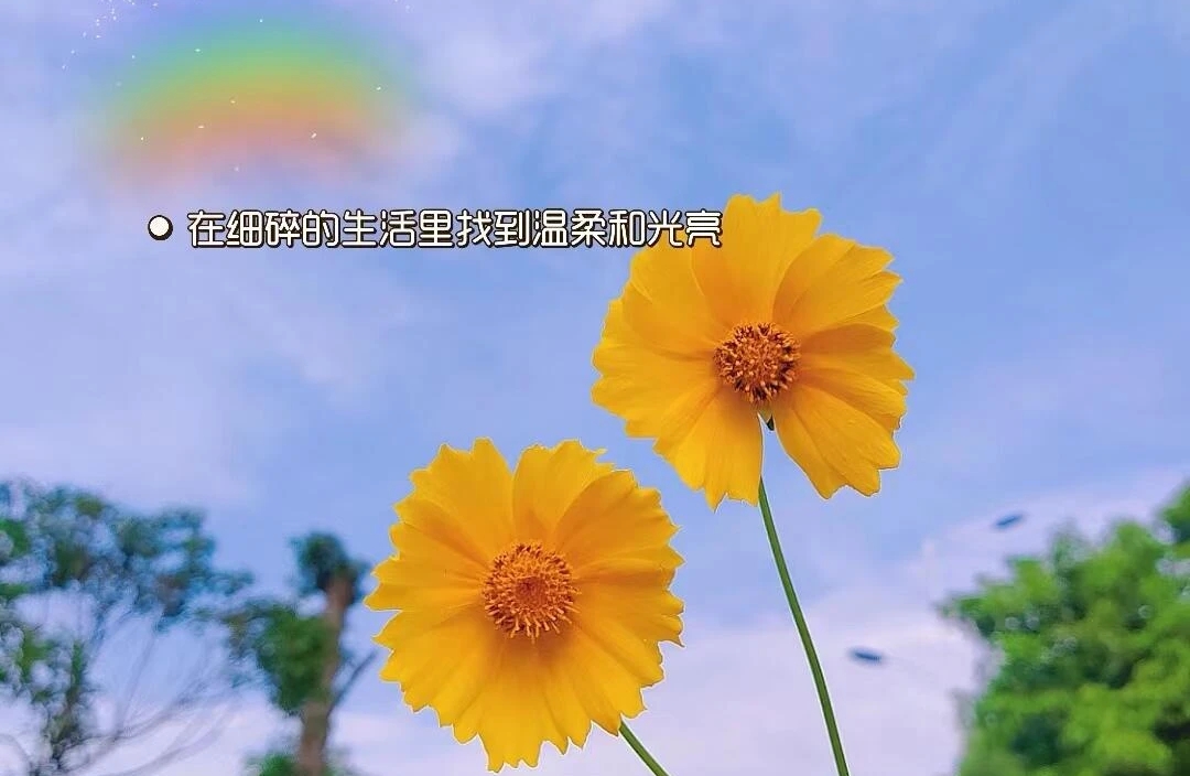 结婚该选择一个什么样的人