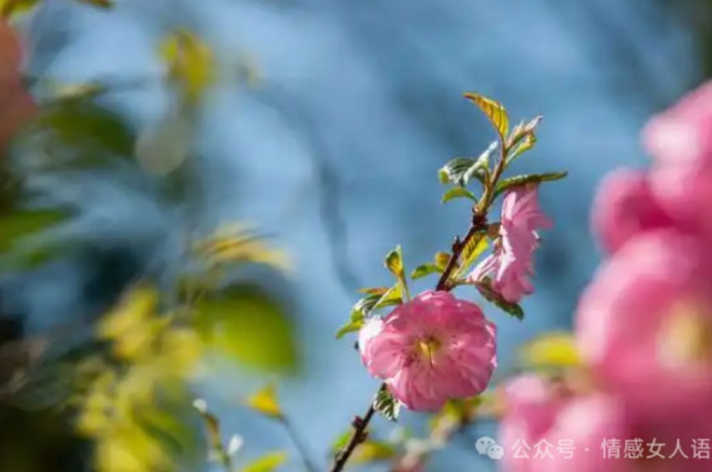 女人这样给你发消息，是想你的信号