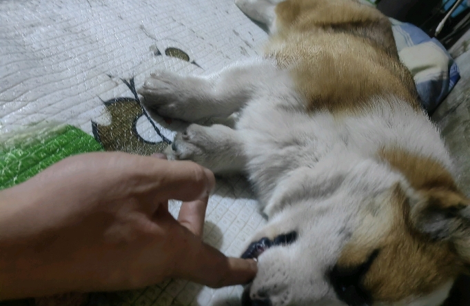 分手修复案例
