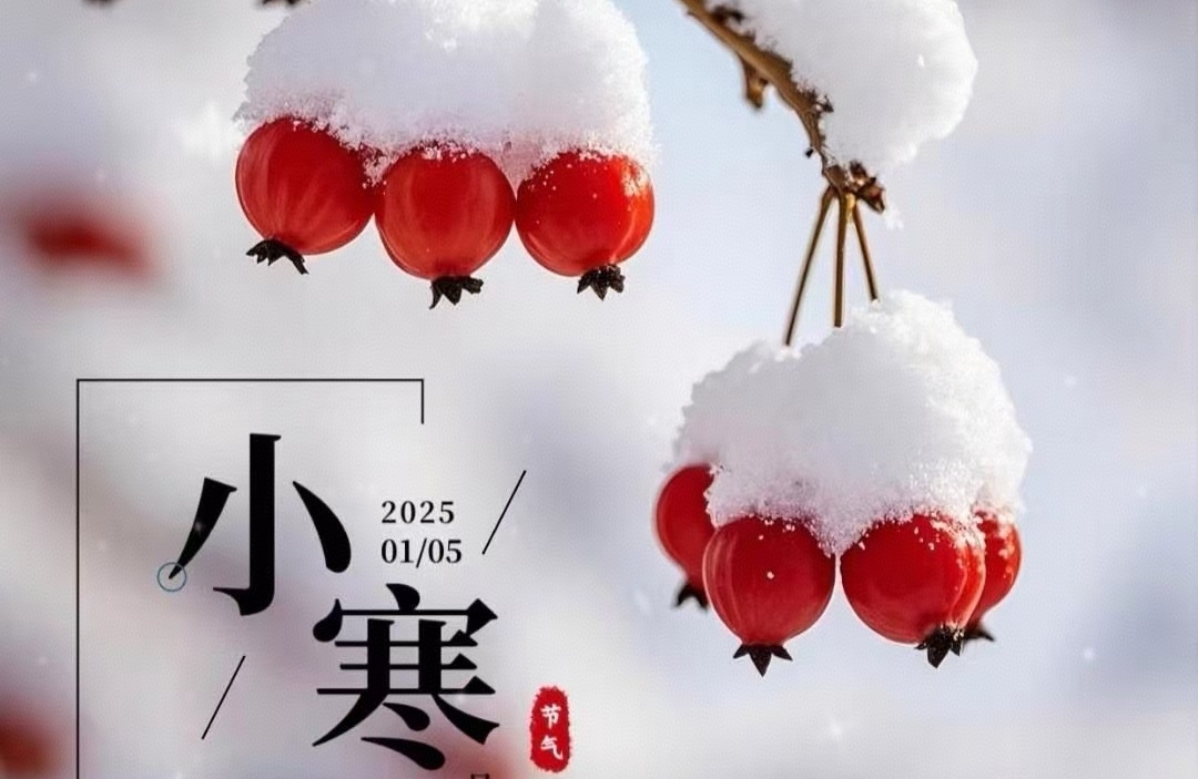 童年心理照射：成长的隐秘脉络
