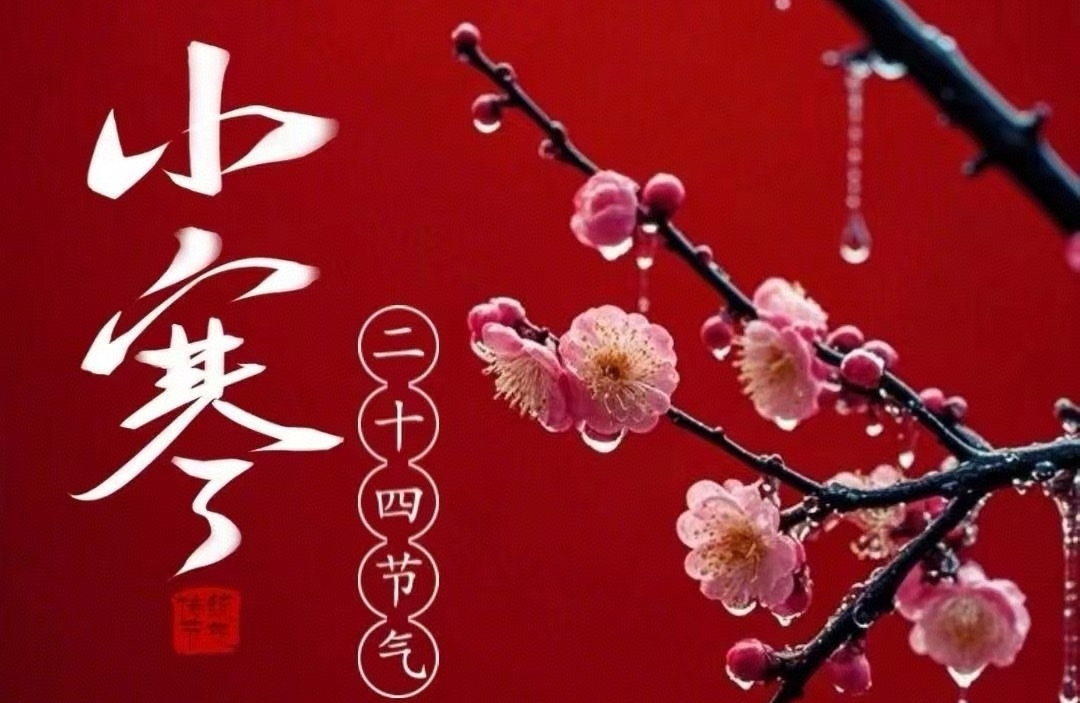 家暴阴影下的童年心理照射：创伤与修复之路