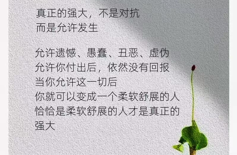 不和自己对抗才能变得强大