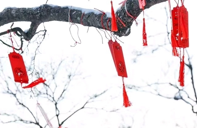 无条件的爱