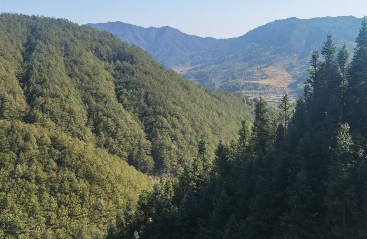分手后怎么办？