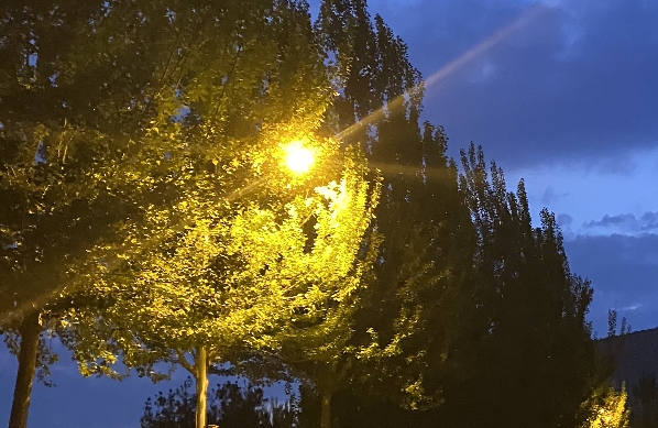 情绪价值是优点