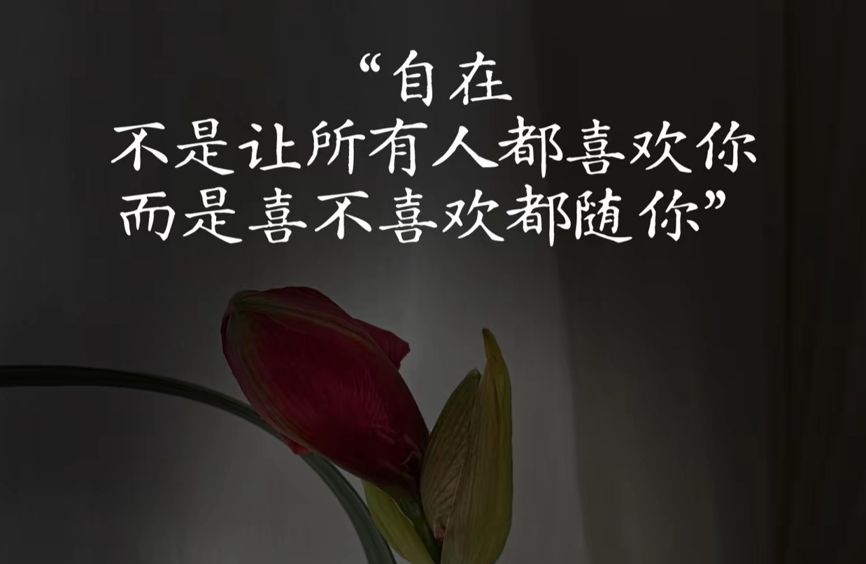 保护好自己的能量，才能不内耗！