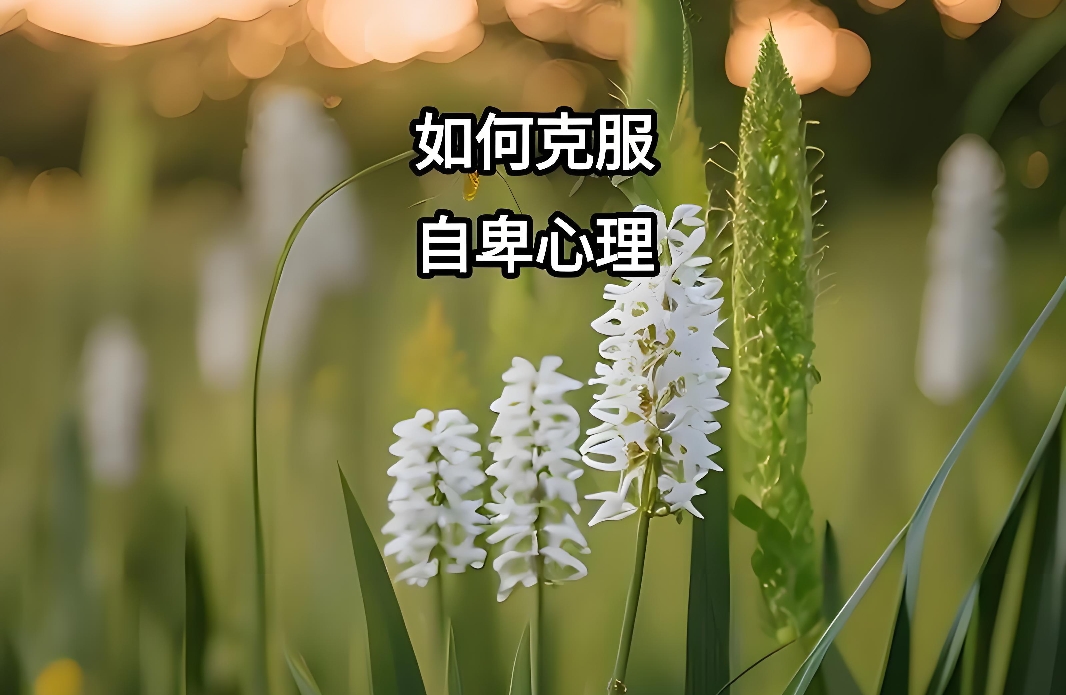怎样缓解自卑心里