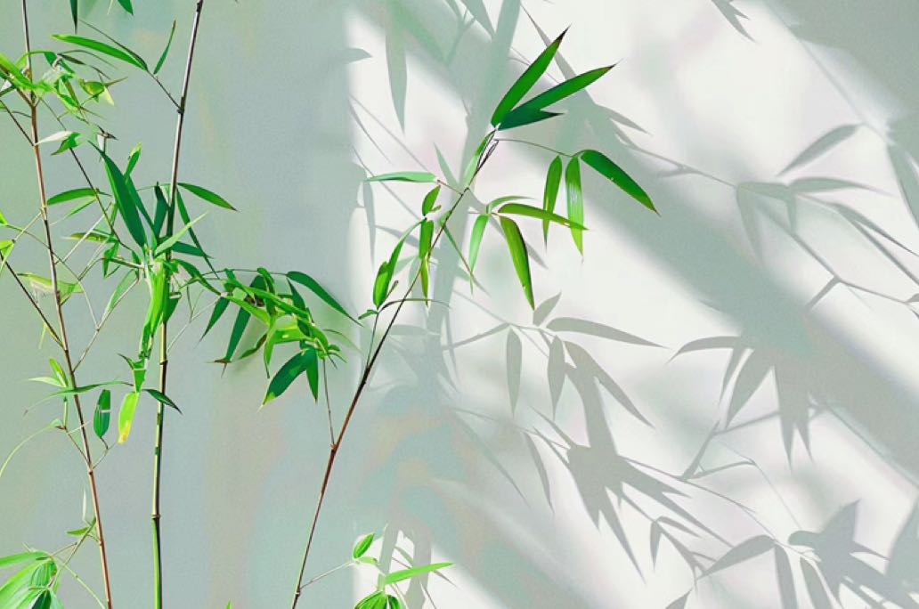 你最该了解自己