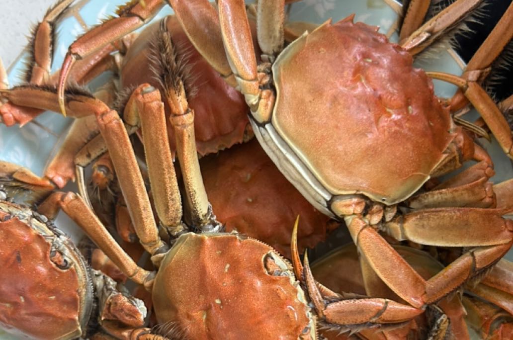 螃蟹🦀效应