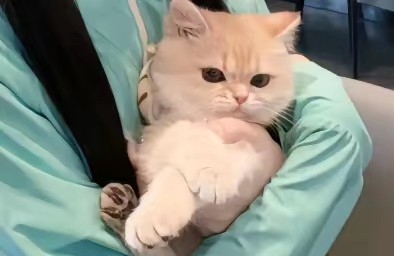 情绪的背后是需求。