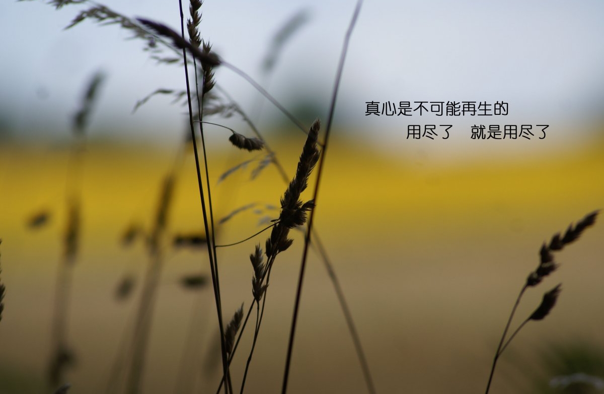 情侣之间保持平等，真的是爱情长久的秘诀吗？