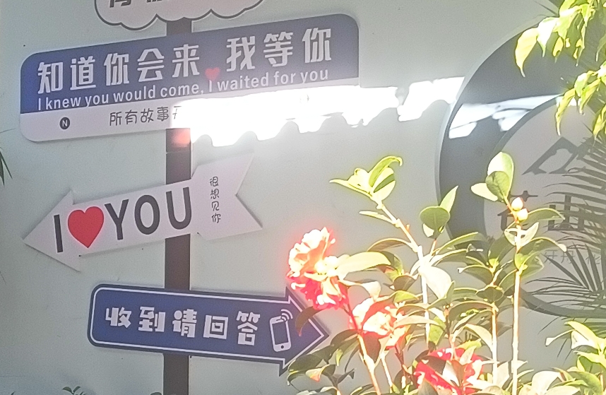 在亲密关系中，相处需要注重以下几个方面