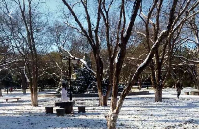 探寻和谐相处模式：构建融洽关系的密钥