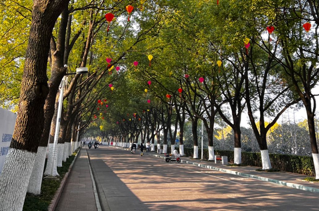 为什么我的生活一团糟