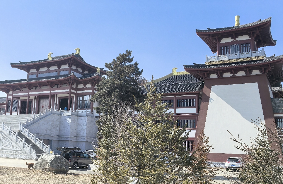 探寻老实人的自洽之道：于喧嚣尘世坚守内心秩序
