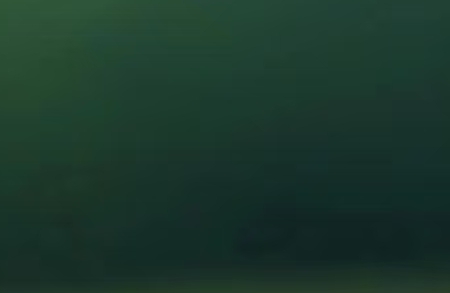 回避型依恋者的安全诉求