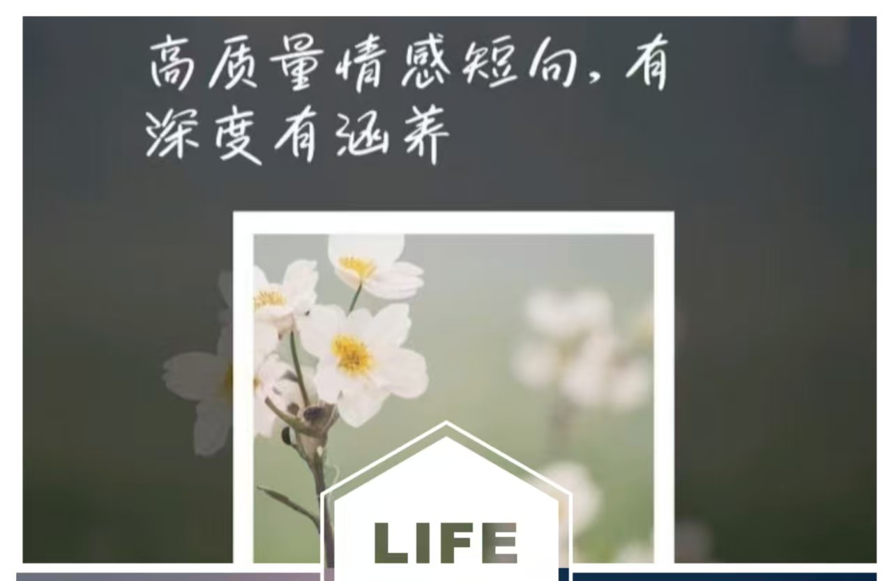 【情侣间如何谈出一段高质量的感情？】