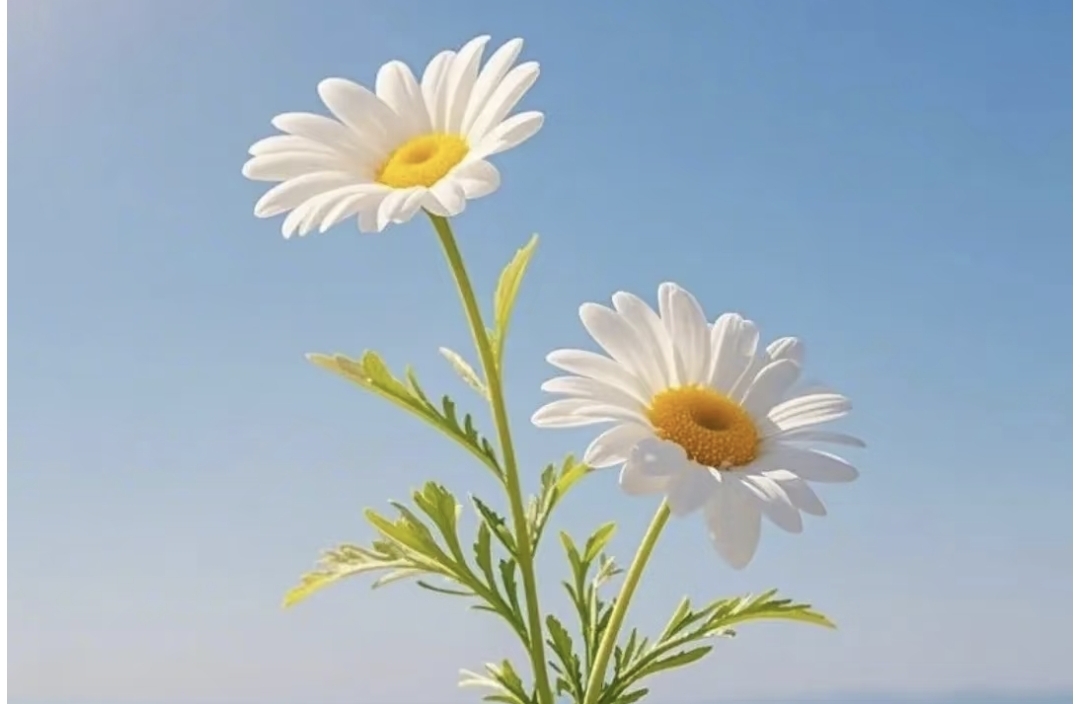 焦虑型人格特点