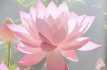 定位速效法在个人成长中的应用