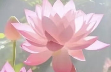人格的三维度模型