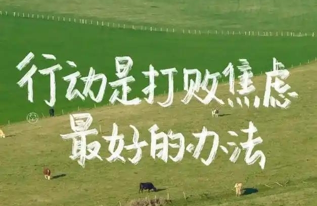 《呼吸间的救赎：一个焦虑者的478呼吸法觉醒手记》