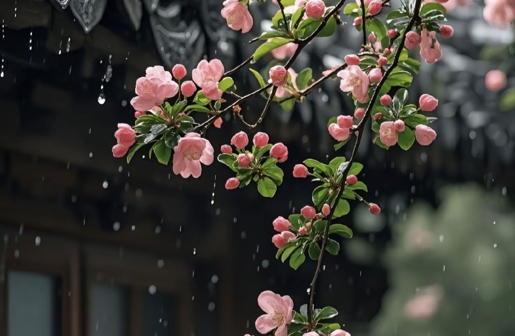 焦虑