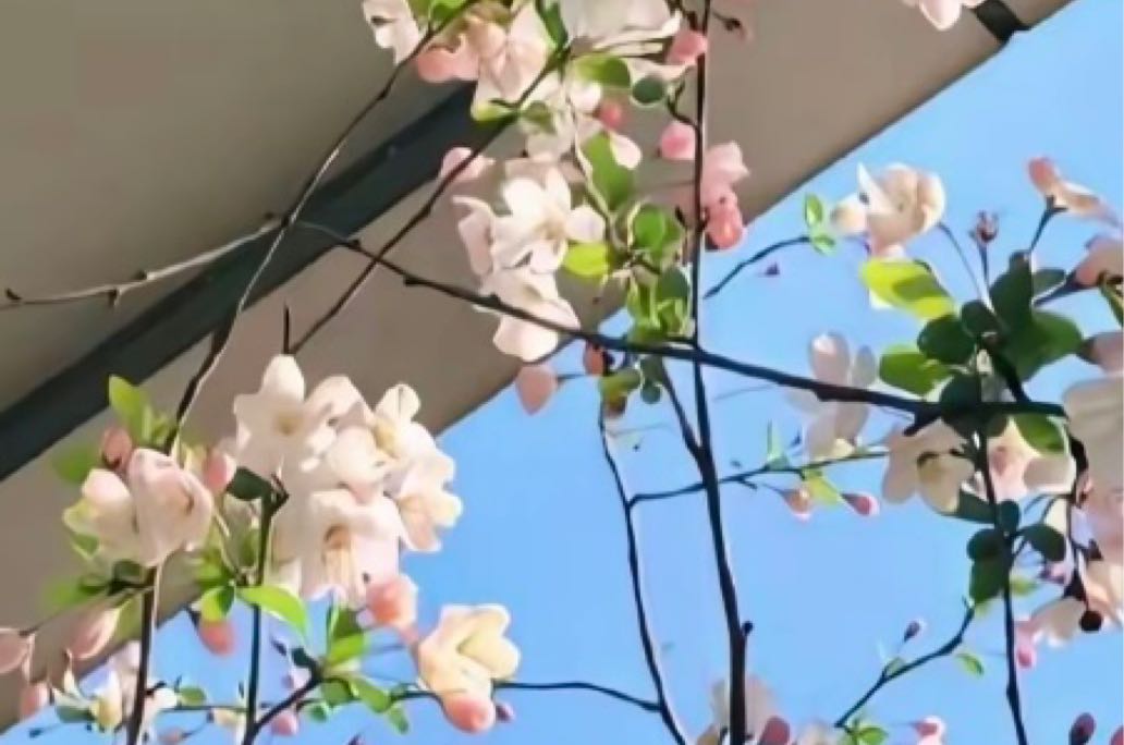 亲密关系的温度调节艺术