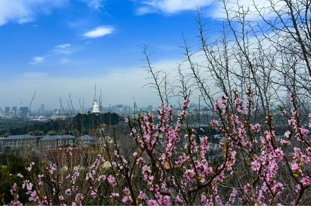 婆媳之间：在理解中拥抱温暖