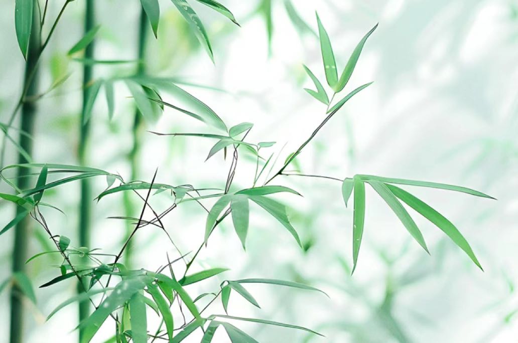 当你放弃努力时，世界也对你无能为力