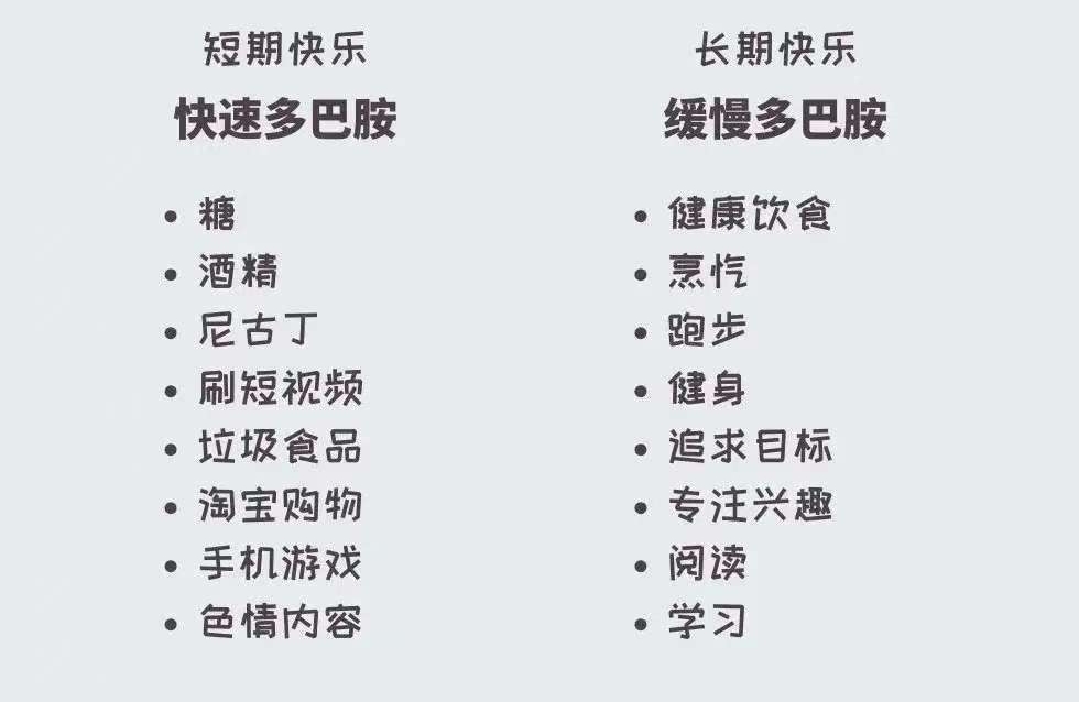 《多巴胺的抉择：短期享乐与长期幸福》