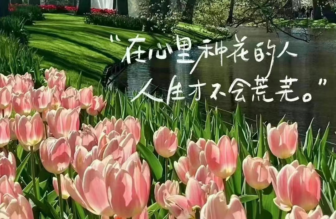 不知如何与伴侣的家人相处？快来看看这个锦囊！