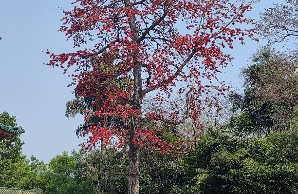 如何看清一个人