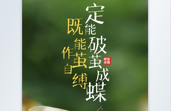 挣脱原生家庭烙印：在自我重构中完成性格破茧