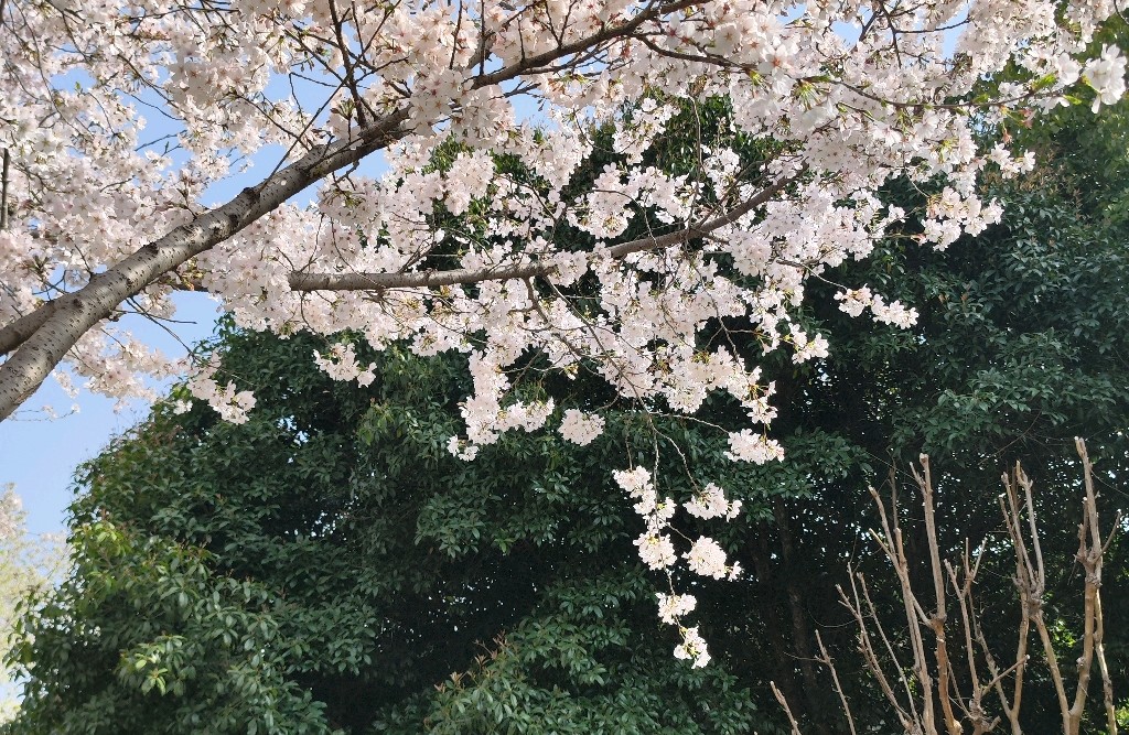 如何应对日常焦虑