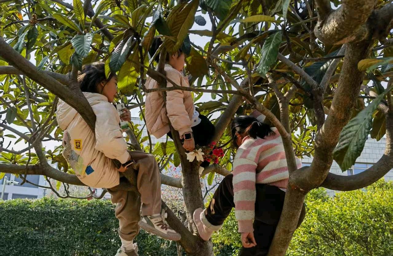 孩子有情绪，父母最好的做法是什么？