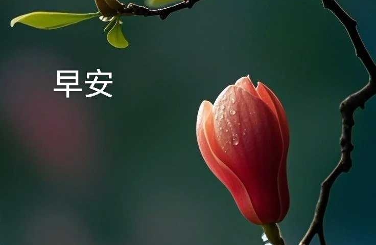如何经营异地婚姻
