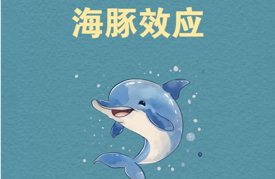 海豚效应