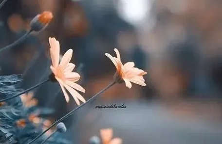 每个人都有的需求
