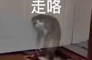 夫妻双方矛盾原因