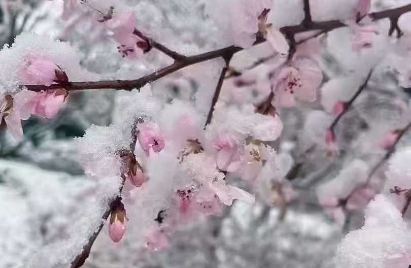 如何学会爱