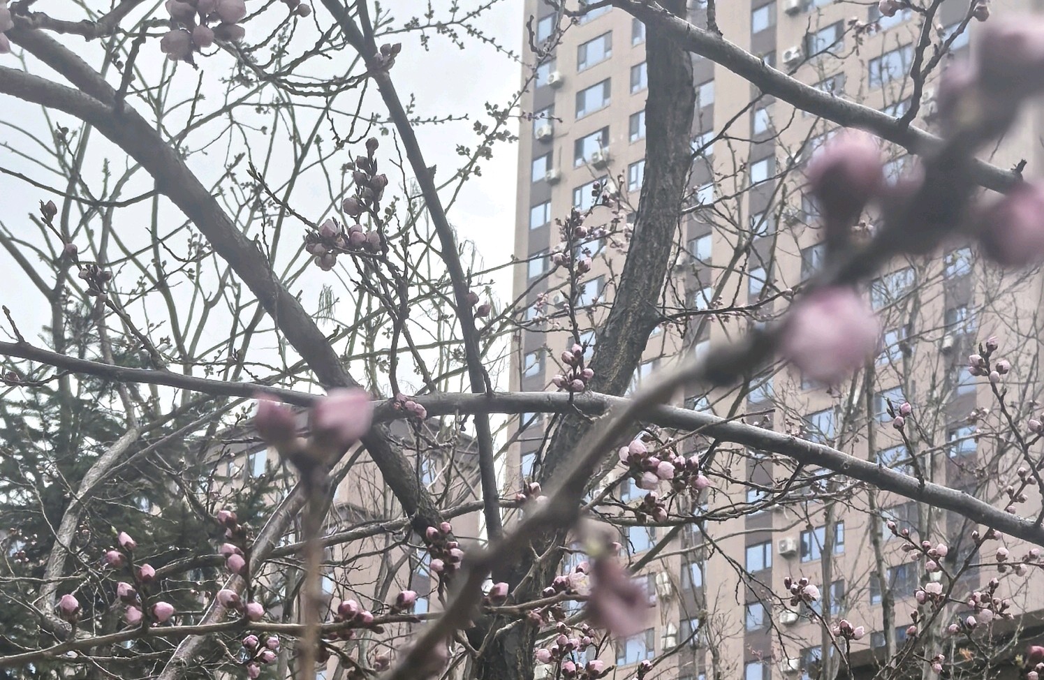 影子人格：潜意识中的人性镜像