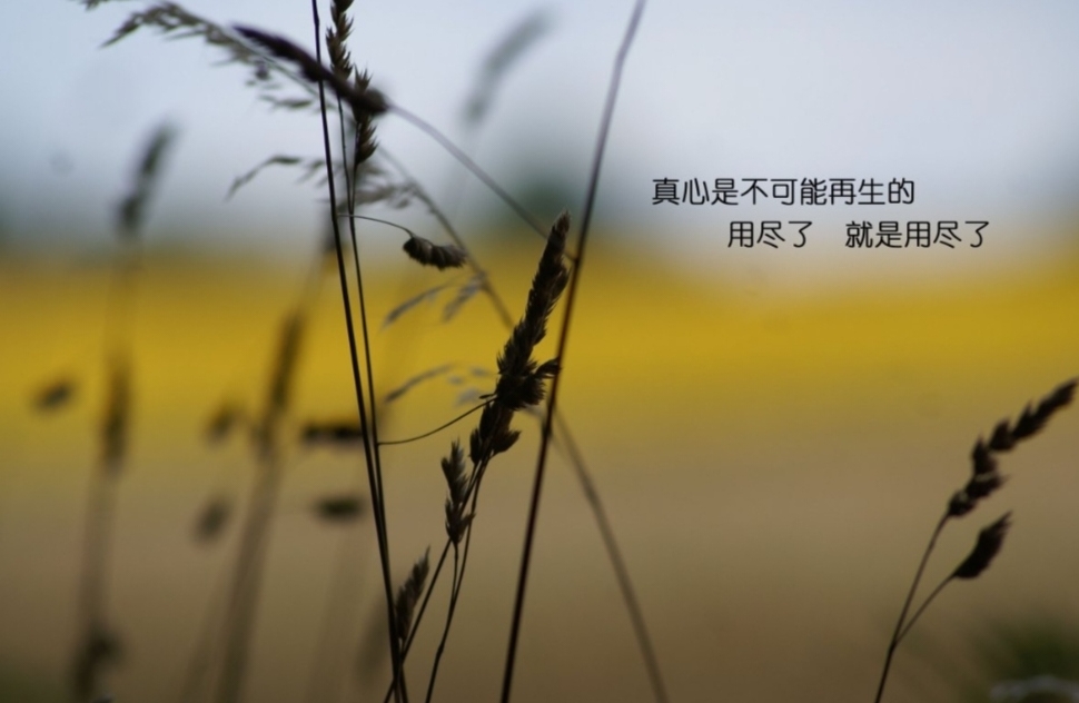 男女交往最忌讳的10件事情，你做过几件
