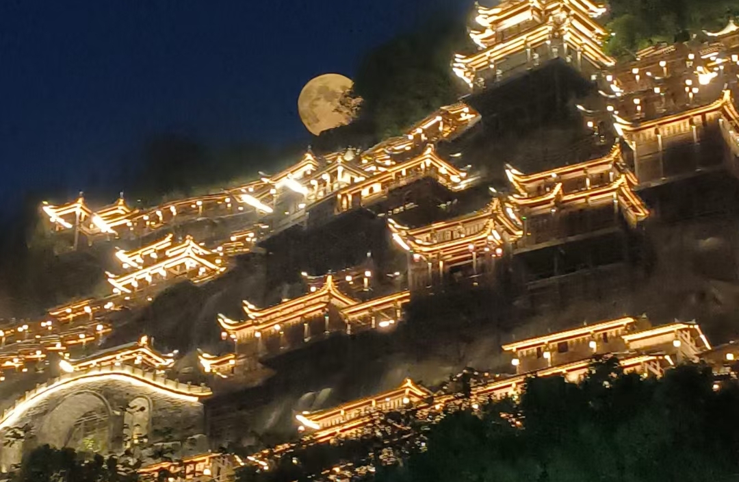 在不确定性中锚定职业坐标