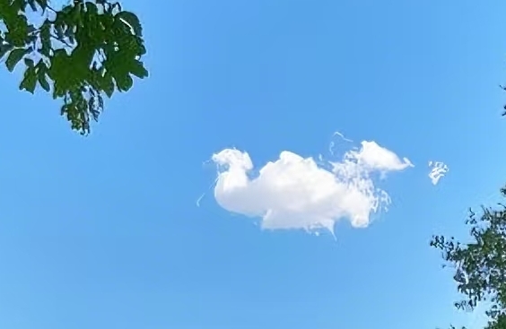 富兰克林效应