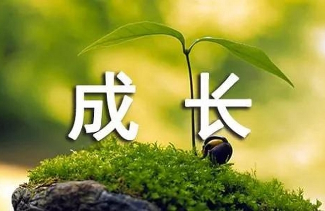 一个人最快的成长步骤