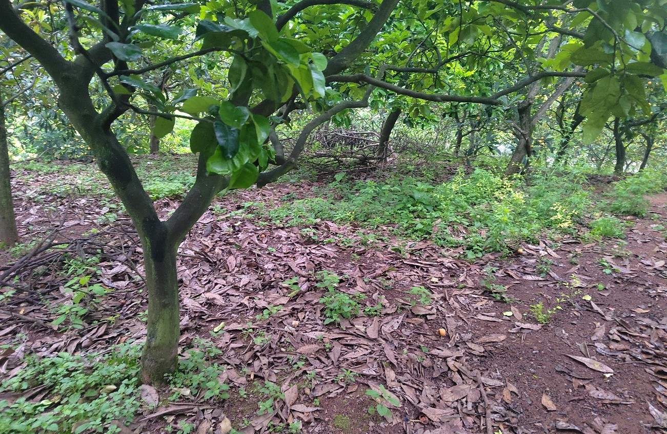 在时光褶皱里，缝补爱的温度