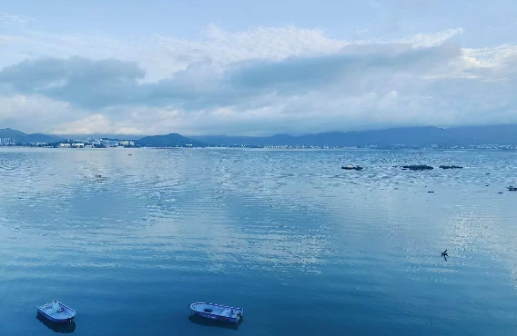 在试探里种下心动的种子