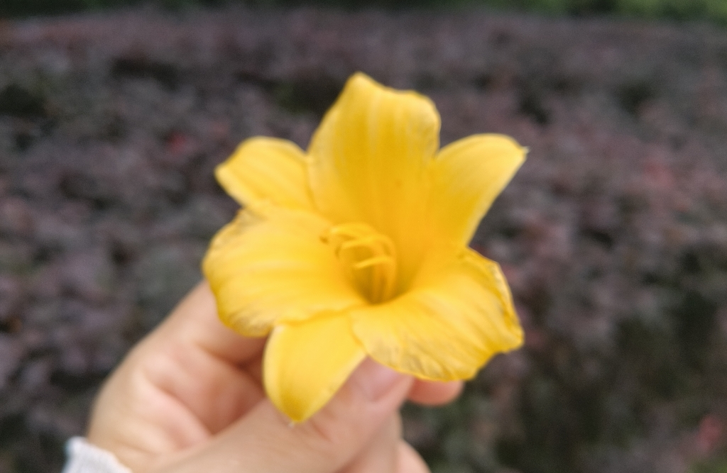 如何将大道理转化为小行动