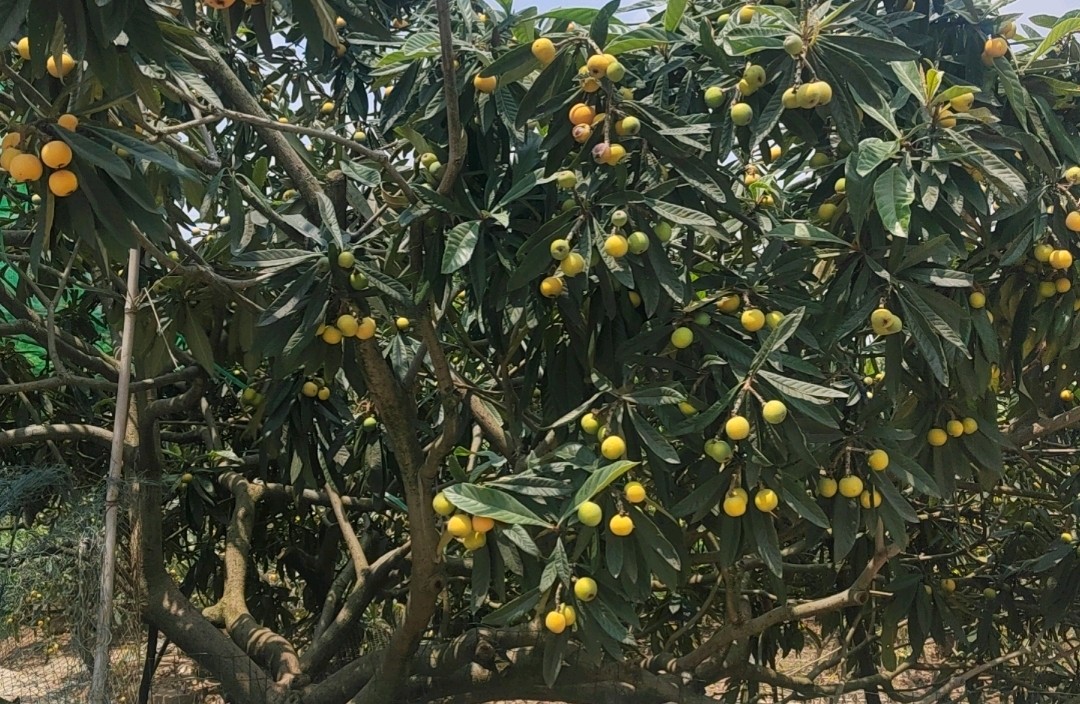穿越迷雾，抵达幸福彼岸的实用指南